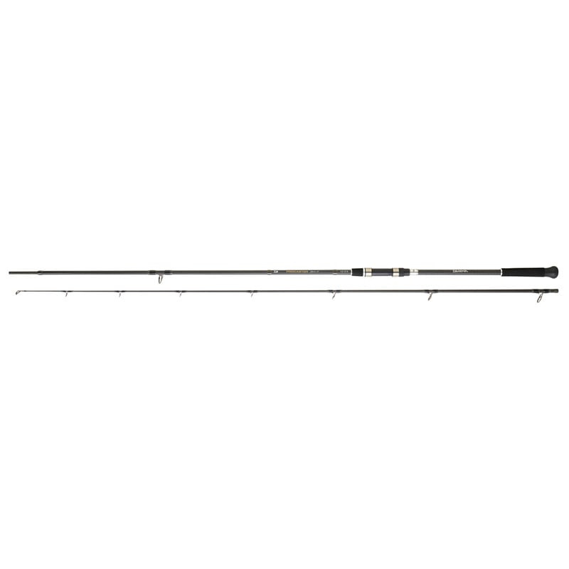 Canne DAIWA Procaster Game III 242 XH