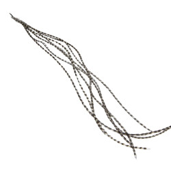 Lancettes MDC Top Grade