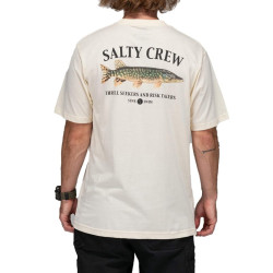 T-shirt manches longues SALTY CREW Euro Pike Premium Moonbeam