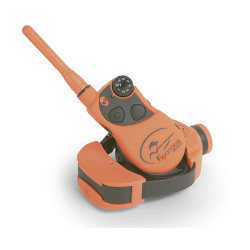 Collier de Dressage SPORT...