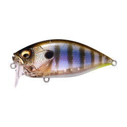 Leurre dur MEGABASS KISS...