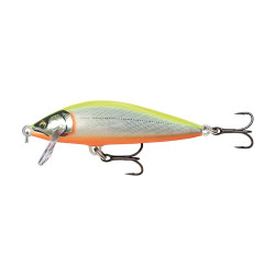 Leurre RAPALA Countdown Elite CDE75