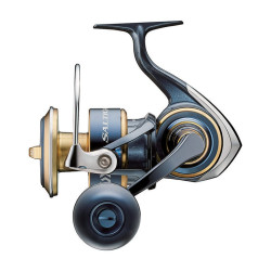 Moulinet exotique DAIWA...