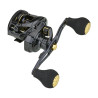 Moulinet casting DAIWA Prorex PE SV TW 100