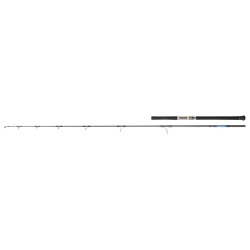 Canne DAIWA Saltiga Lancer 80 XH