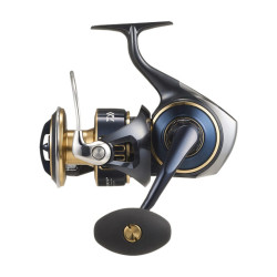 Moulinet exotique DAIWA...
