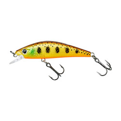 Leurre dur GUNKI Gamera 63 HW