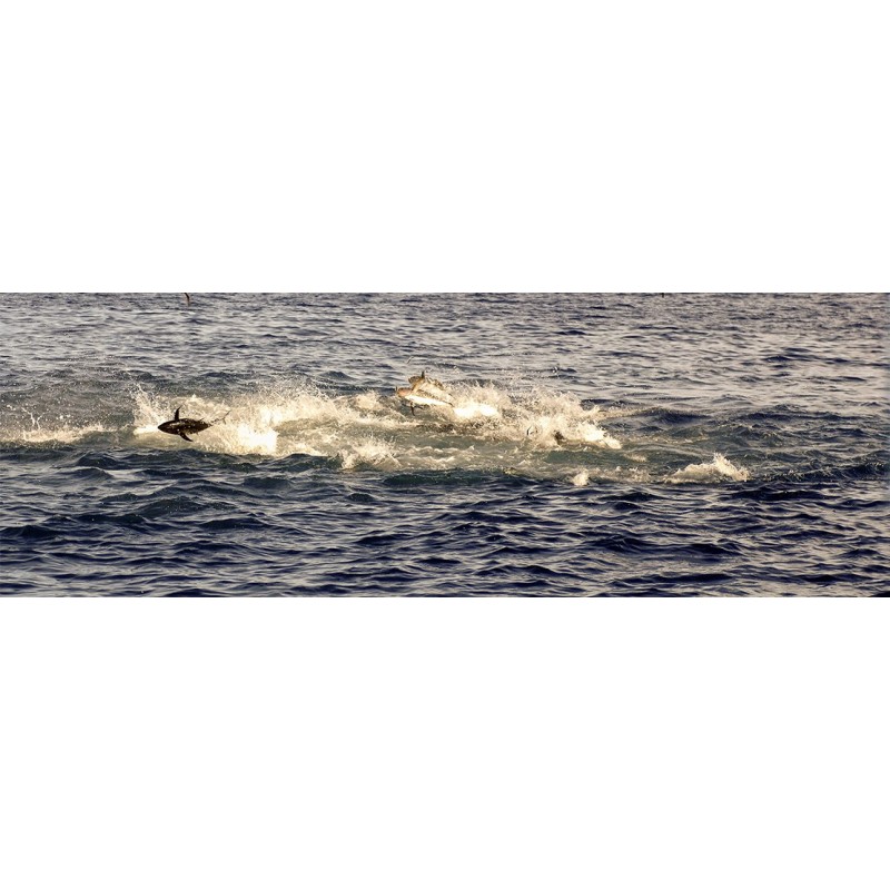 Équipement du pêcheur