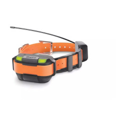 Collier Supplémentaire...