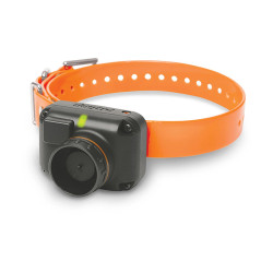 Collier Supplémentaire...