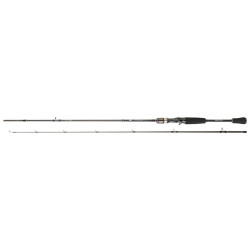 Canne DAIWA Exceler Casting 602 MFB
