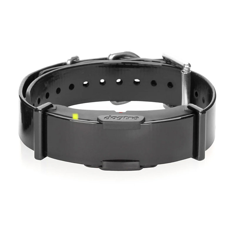 Collier Supplémentaire DOGTRA Arc 800