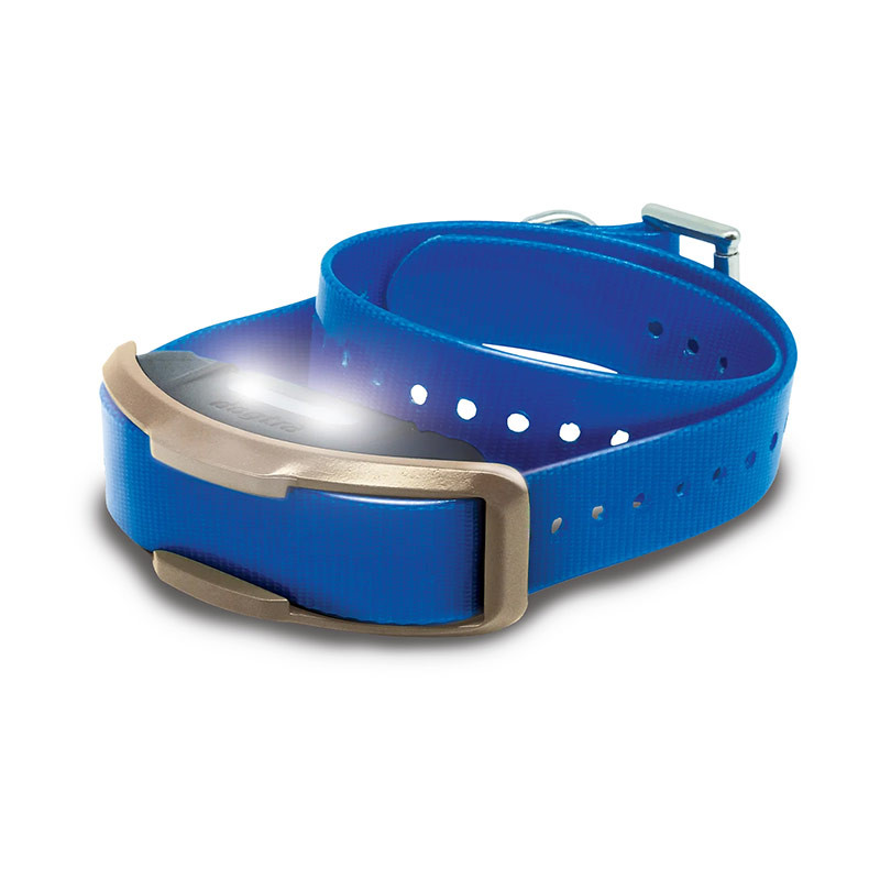 Collier Supplémentaire DOGTRA 1200X