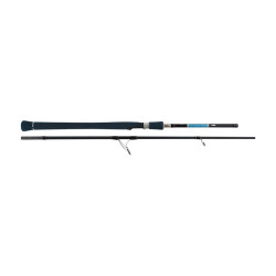 Canne Spinning DRAGONBAIT Seabass LX 240cm