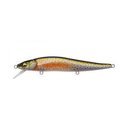 Leurre dur MEGABASS Vision 110 FW