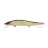 Leurre dur MEGABASS Vision 110 FW