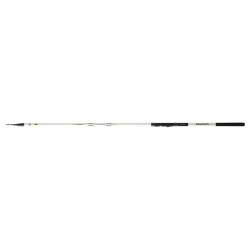 Canne DAIWA Triforce...