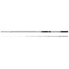 Canne DAIWA BG Tenya Game 242 H