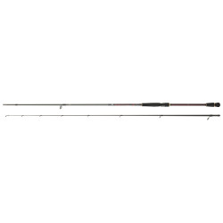 Canne DAIWA Infeet Seabass...
