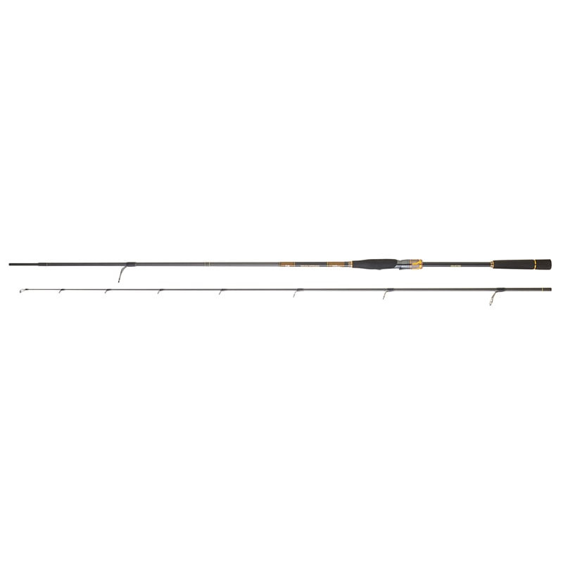 Canne DAIWA Morethan Branzino Expert AGS 742 HM HFS