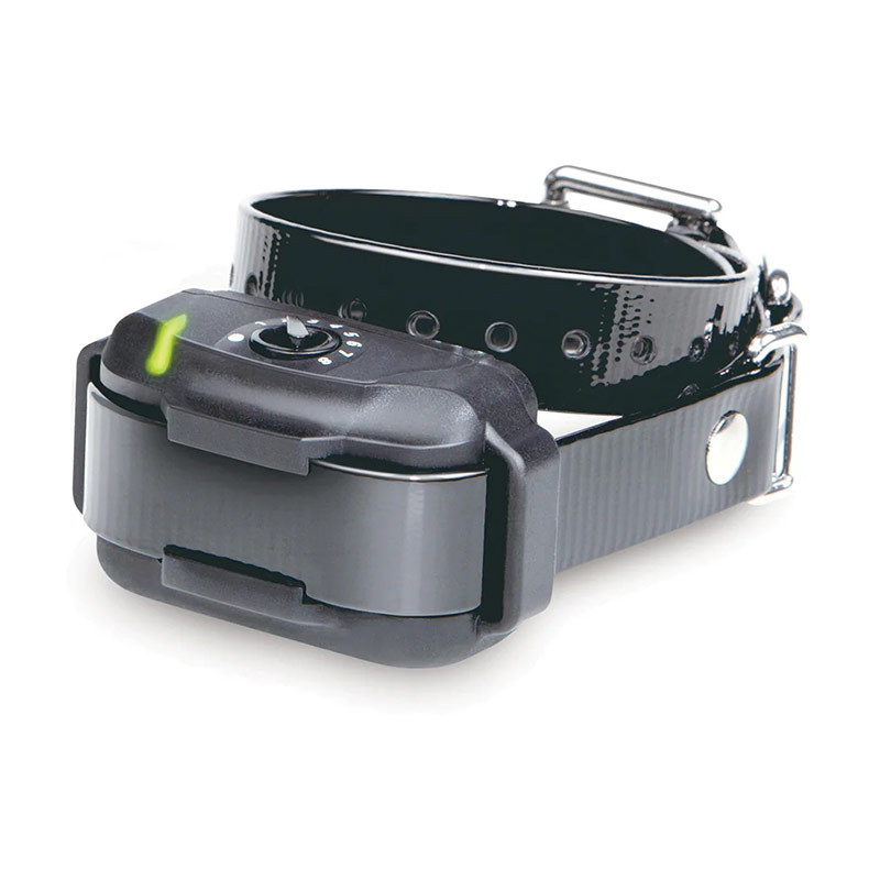 Collier Supplémentaire DOGTRA EF-3500