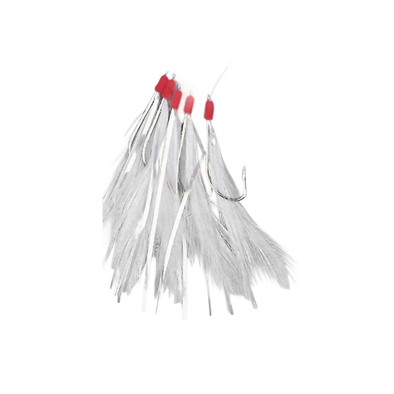 Plumes de mer FLASHMER Filaments - 5 ham. (Lot)