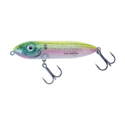 Leurre dur HEDDON Super Spook Boyo 75mm