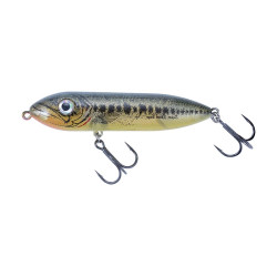Leurre dur HEDDON Super Spook Boyo 75mm