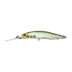 Leurre dur DUO Realis Jerkbait 100 DR