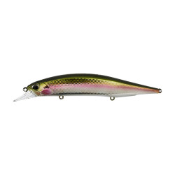 Leurre dur DUO Realis Jerkbait 120SP Pike LTD