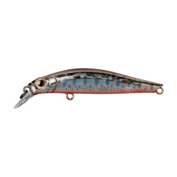 Leurre dur JACKSON Artist FR55