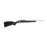 Carabine RUGER American Rimfire Inox