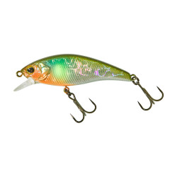 Leurre Dur Illex Flat Tricoroll 55 S