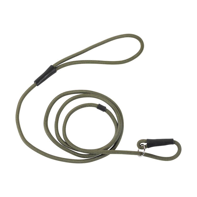 Laisse de Présentation STEPLAND 2M