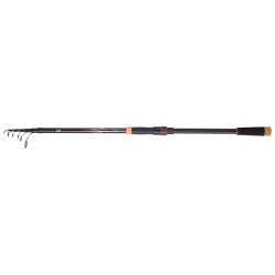 Canne DAIWA Crossfire 33 T SL