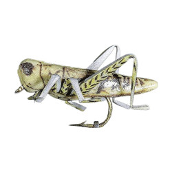 Mouche MDC Sauterelle 20