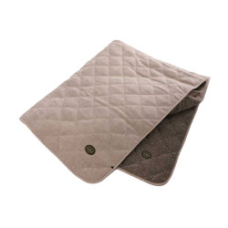 Couverture LE CHAMEAU...