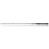 Canne DAIWA Exceler Casting 662 MHFB