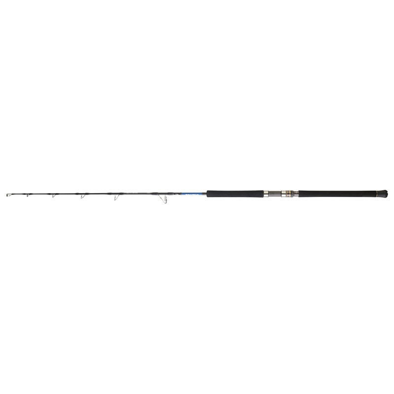 Canne DAIWA Saltiga Jigging 24 - 55