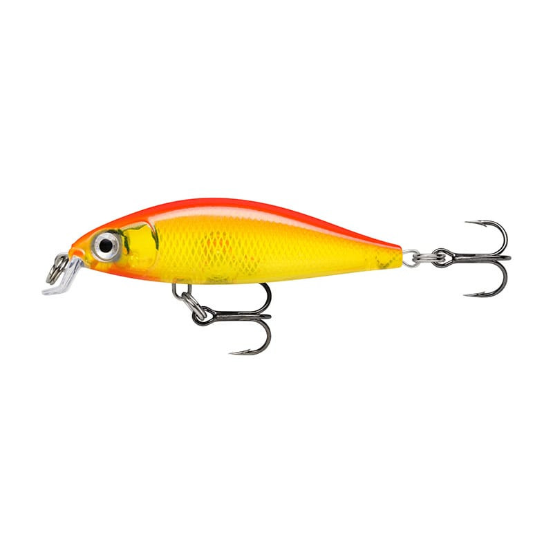 Leurre RAPALA X-Light Minnow 5