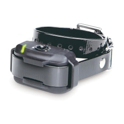 Collier Supplémentaire DOGTRA EF-3500