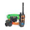 Kit Collier & Beeper DOGTRA 2602 T&B