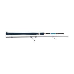 Canne Spinning DRAGONBAIT Seabass LX 240cm