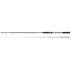 Canne DAIWA BG Tenya Game 242 H