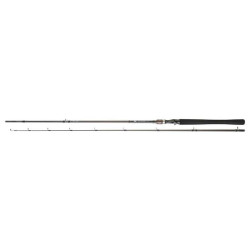 Canne DAIWA Exceler Casting 742 XHFB