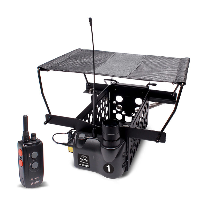 Kit Collier & Beeper DOGTRA QL 1