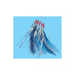 Plumes de mer FLASHMER...