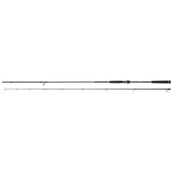 Canne DAIWA Caldia Seabass 802 MHFS