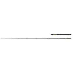 Canne DAIWA Crosscast S 702...