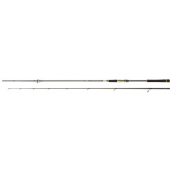 Canne DAIWA Crosscast 1002 XHFS